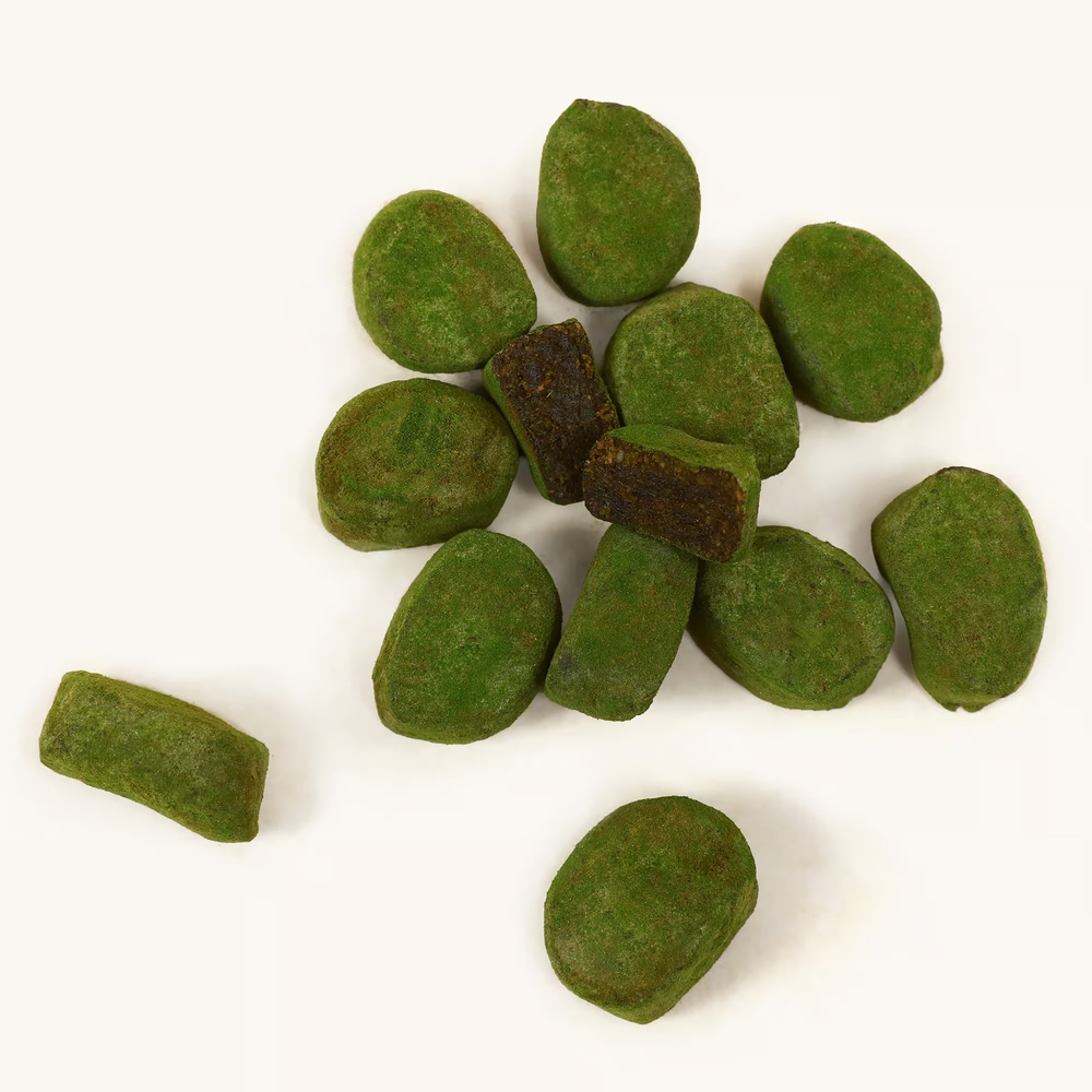 Wild Bites